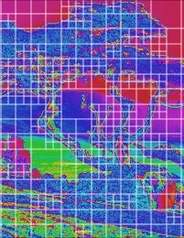 Adaptive 514-tile partition on a tree-photograph phase field